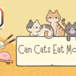 Can Cats Eat Mochi