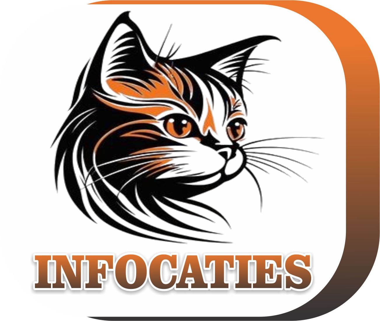 infocaties.com
