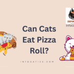 Can Cats Eat Pizza Roll