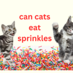 Can Cats Eat Sprinkles?